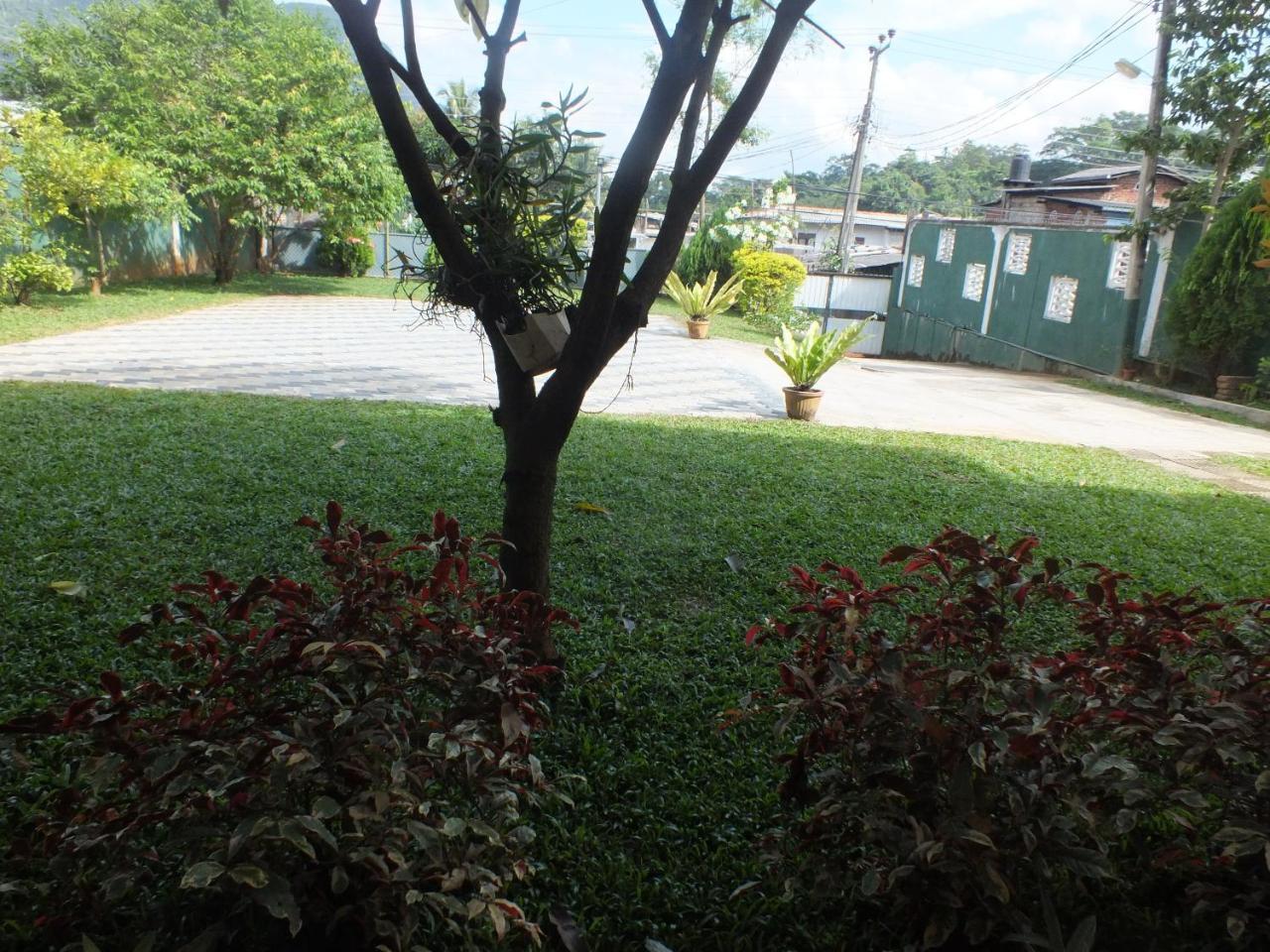 Hillsview Rest & Guest House Matale Kültér fotó