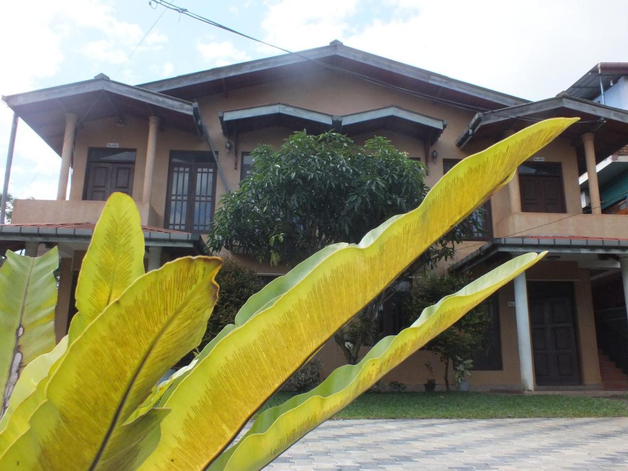 Hillsview Rest & Guest House Matale Kültér fotó